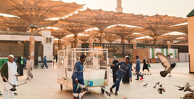 Medinah